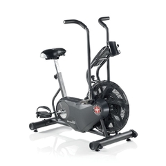 Air Dyne Schwinn en internet