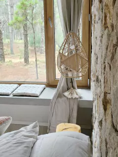 Bernardita