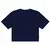 Imagen de Camiseta Boxy Fit Nature Lines Flowers Azul RR