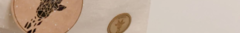 Banner de la categoría Accesorios