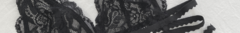 Banner de la categoría Bralettes