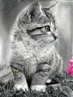 Pintura em diamantes redondos 4577 - 30x40 - full