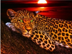 Pintura em diamantes redondos 4255 - 30x40 - full