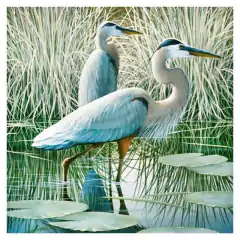 Pintura em diamantes redondos 2620 - 30x30 - full