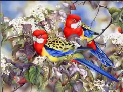 Pintura em diamantes redondos 2663 - 30x40 - full