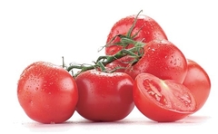 Tomate Redondo