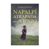 NAPALPI ATRAPADA EN EL VIENTO. EXILART GABRIELA