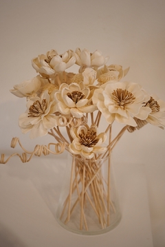 FLORES TAPIOCA
