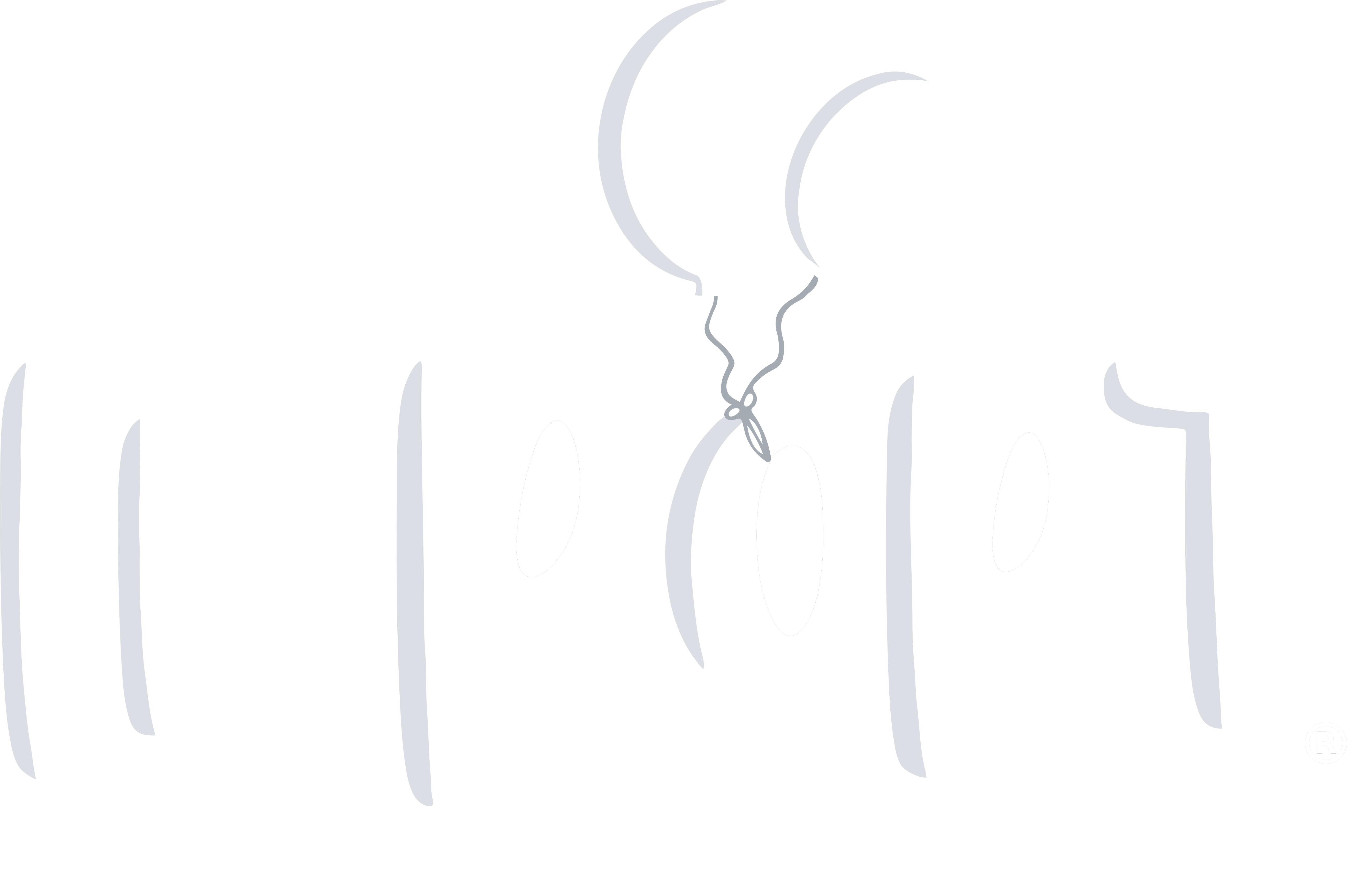 import festa
