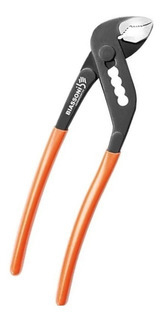 Pinza pico de loro 10" Biassoni