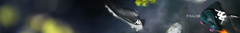 Banner de la categoría Kappa