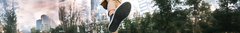 Banner de la categoría Pony