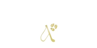 Aalmendra.acc
