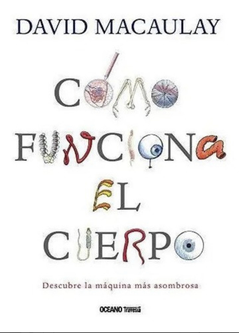 Cómo funciona el cuerpo-OCEANO-