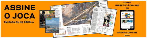 Imagem do banner rotativo Joca