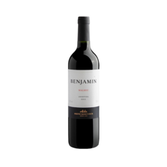 Vinho Argentino Benjamin Nieto Malbec Tinto Gfa 750 Ml