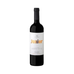 VINHO ARGENTINO SOTTANO JUNIOR MALBEC 750 ML