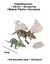 SET DE DINOSAURIO PARA ARMAR CRETACEOUS X2 99559 en internet