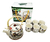 SET TETERA DE PORCELANA Y TAZAS TEAPOT X7 PIEZAS BA-27932B - tienda online
