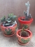 Trio de vasinhos decorados