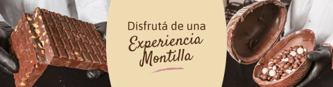 Carrusel Montilla