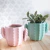 CACTUS ROSA - APA LA PAPA - comprar online
