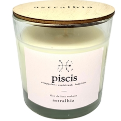 VELA DE SOJA PISCIS