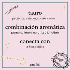 BRUMA TAURO L 500 ml. - comprar online