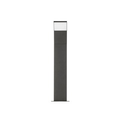 NILE P - comprar online