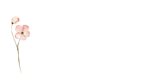BOHEMIA