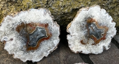 Pair of Agate #11
