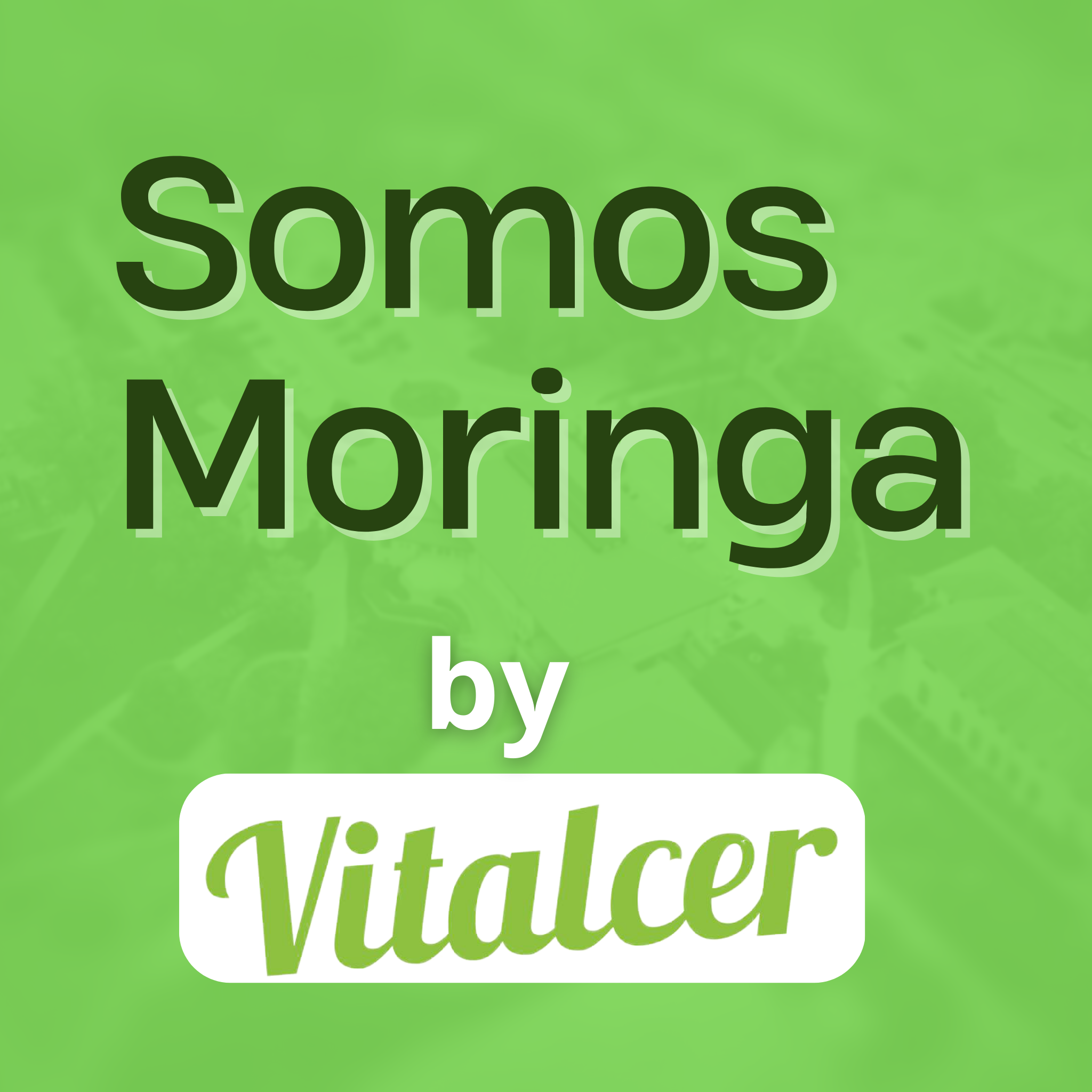 Somos Moringa 