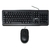 Teclado+Mouse Genius KM-160 USB