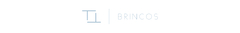 Banner da categoria Brincos