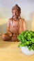 Buda - comprar online