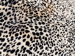 Blusa Leopard en internet