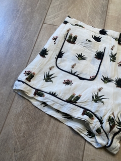 Short Cactus Desert