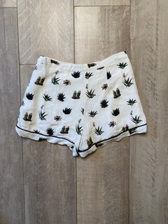 Short Cactus Desert en internet