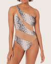 Swimsuit Snake Mesh