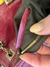 Imagen de FENDI