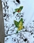 DOLCE & GABBANA - comprar online