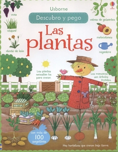 LAS PLANTAS DESCUBRO Y PEGO