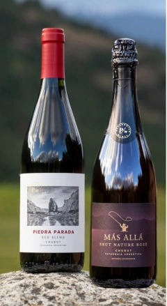 Caja Degustación - BOX2 - comprar online