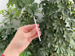 Mini pincel 5 unidades - Branco - comprar online