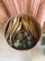 KIT PARA ARMAR UN TERRARIO SIN RECIPIENTE - tienda online