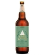 CERVEZA ANDES IPA POR 1L