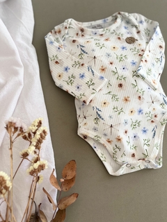 Body Daisy en internet