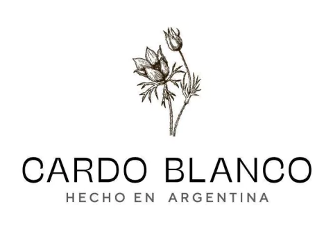 CARDO BLANCO