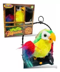 Loro Parlanchin en caja