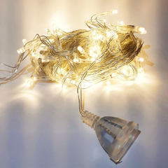 Luces Led x 100 Fija C/Conector Hembra